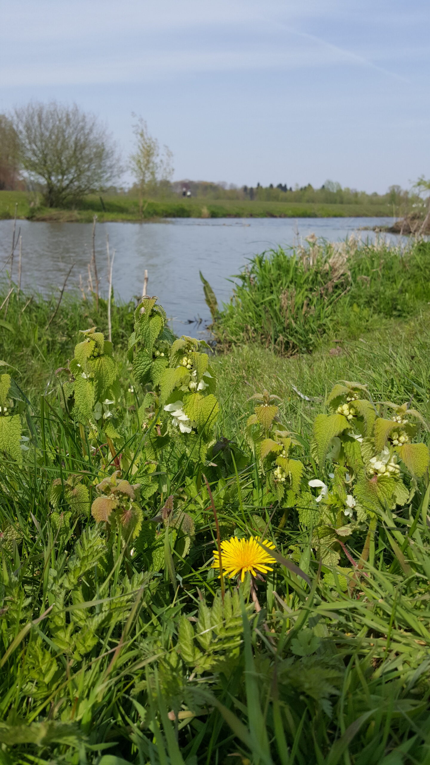 wandeling