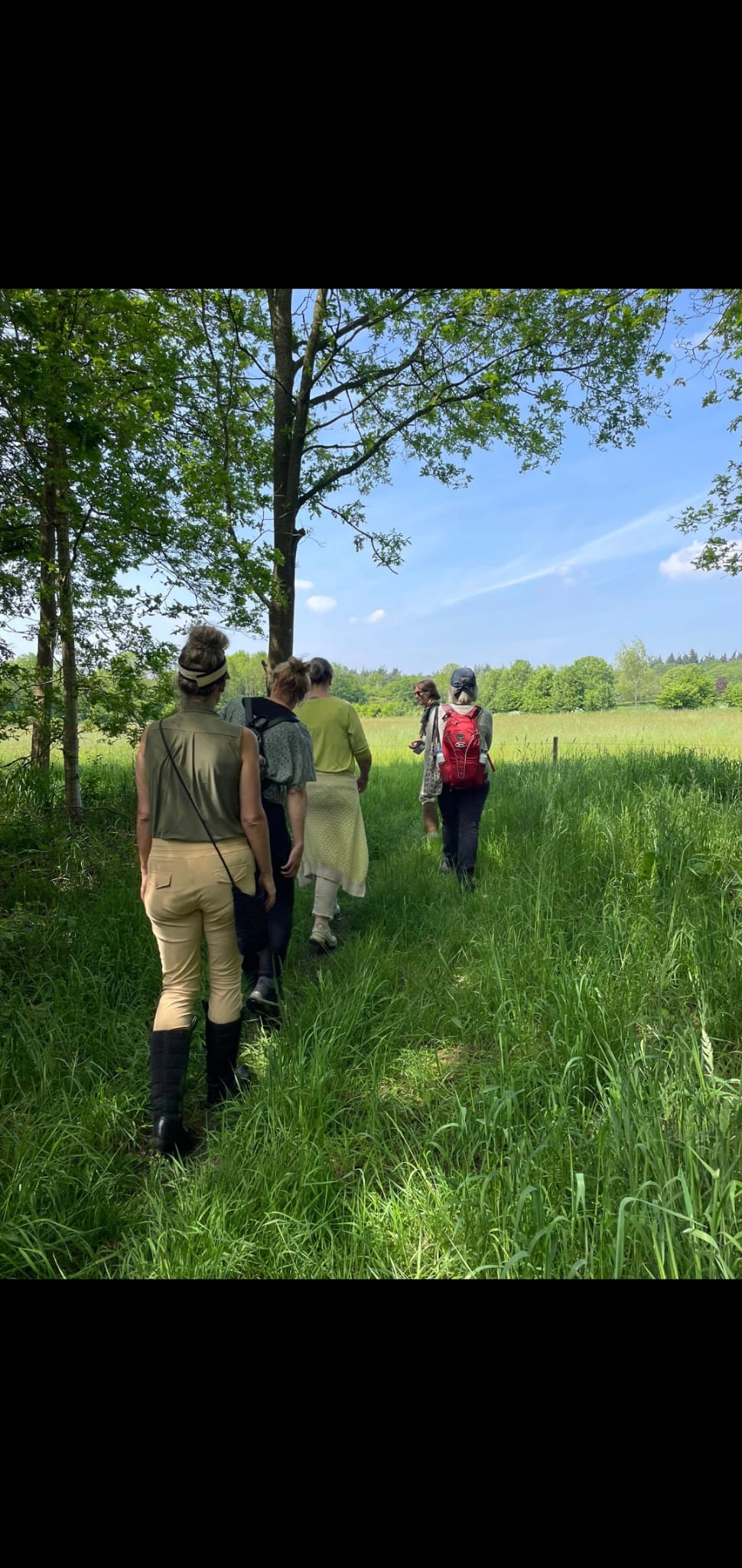 Bomenwandeling